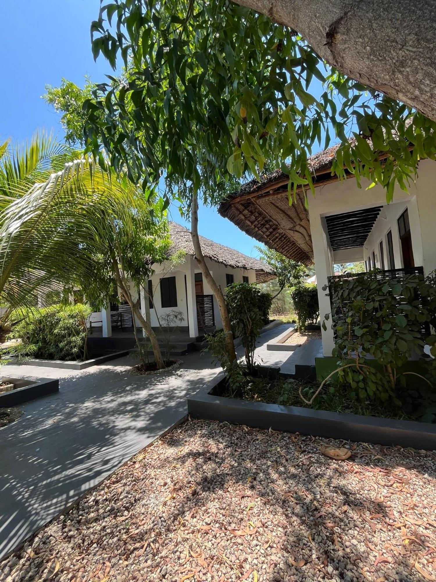 Appartement Tribe Bungalows, Bwejuu, Zanzibar Bwejuu